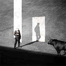 The Bull King